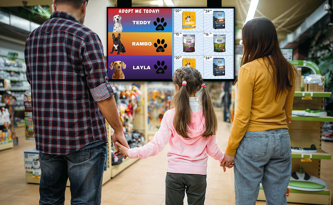 Digital Signage Software